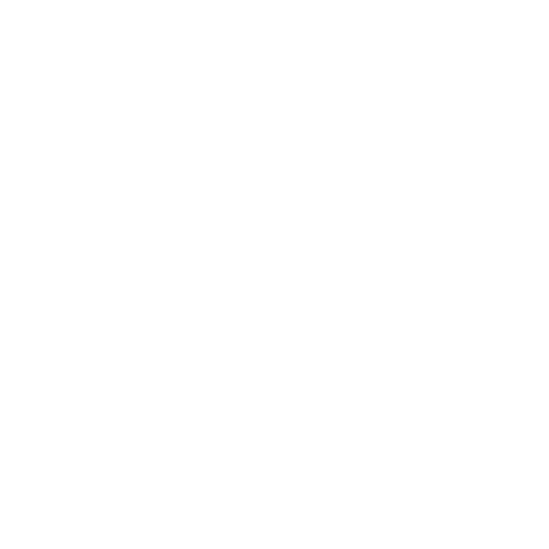 Logo Naos Agency blanc