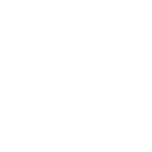 Logo Naos Agency blanc no text